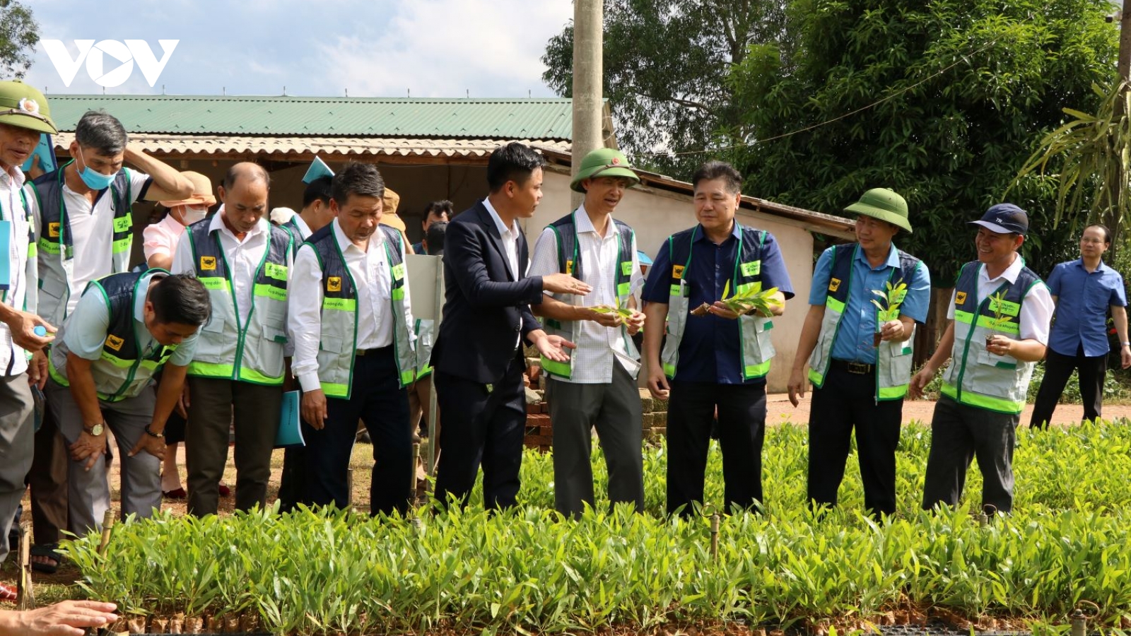 Phát triển vùng nguyên liệu gỗ lớn, chìa khóa nâng tầm lâm sản Việt